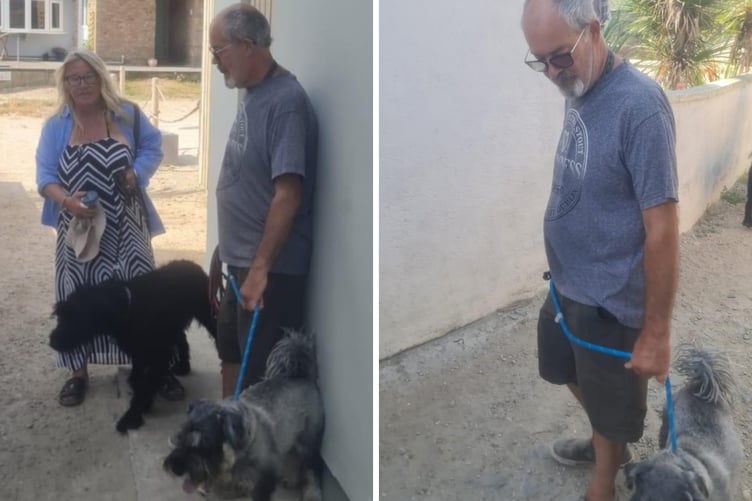 Police appeal after dog bites child.