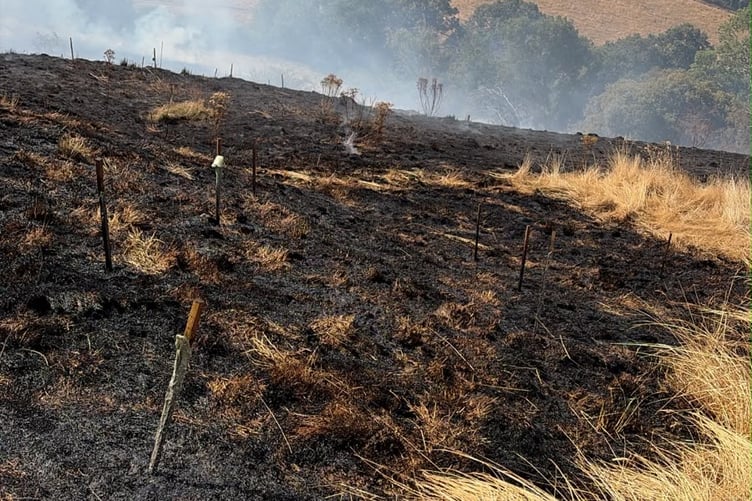 A large area of dry grass appears to be alight