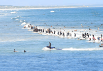 World record attempt for the most surfers on a wave