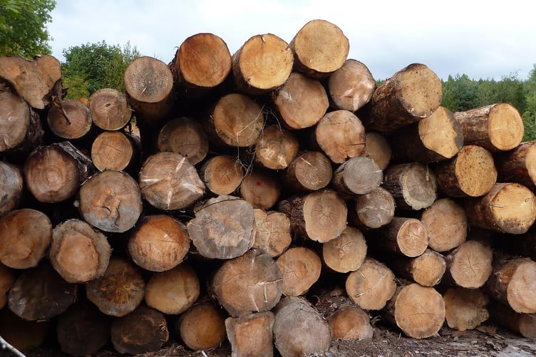 Truro Sawmills Limited and its company director have been handed a hefty fine after failing to act on health and safety notices issued by Health and Safety Executive inspectors
