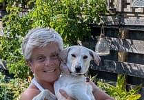 Proceeds from debut novel helps local author adopt rescue puppy from Mauritius