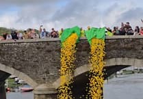 Large crowds gather to witness yellow plastic ducks race down Looe river