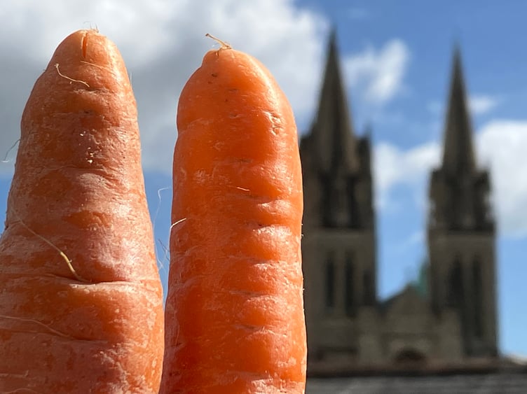 Spot the difference! Truro Cathedral versus a pair of carrots