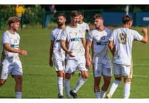 Blues continue hot streak with victory at Wellington