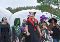 Visitors can explore the magic of nature at Eden this October half-term