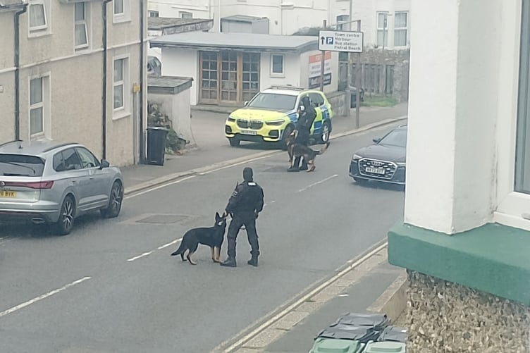 Armed police make series of arrests in Newquay