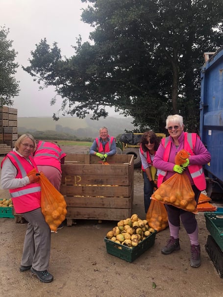 Gleaning Cornwall supplies the Saltash Community Fridge and Larder, Community Kitchen and Saltash Foodbank each week