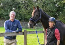 Vet stunned after finding 10cm hook buried in horse