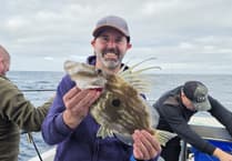 Fishing trip highlights return of species to Cornish waters