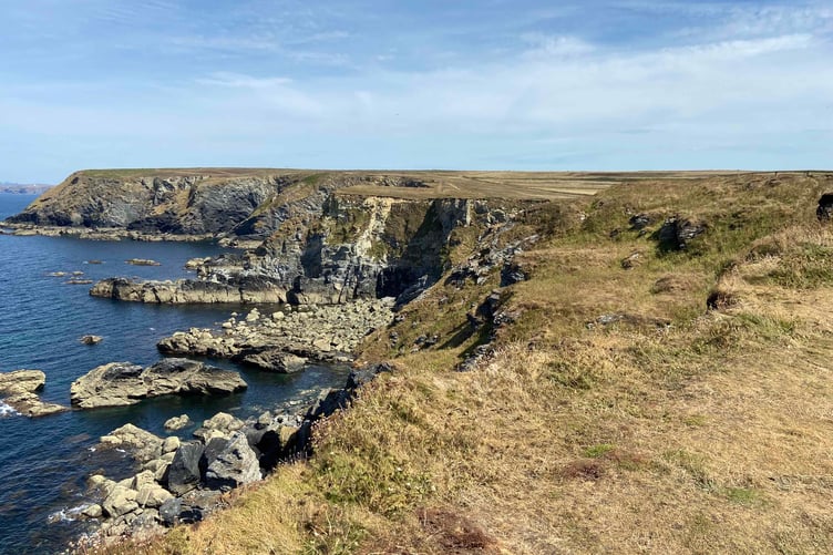 Cliffs at Godrevy on the north coast of Cornwall. (Picture: Andrew Townsend)
