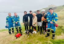 Missing dog reunited with its owner