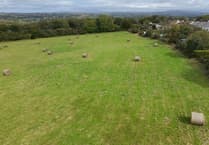 Community rallies behind bid to secure village green