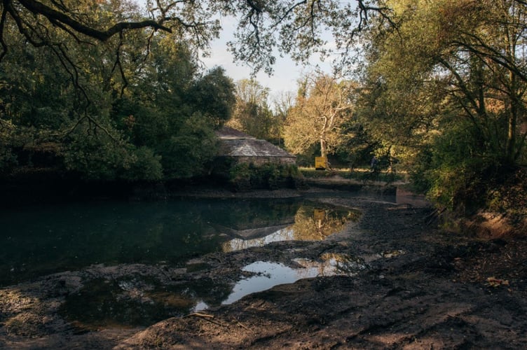 A new partnership between the Carew Pole Garden Trust, Torpoint Artists Collective CIC (TAC) and Rooted Futures is taking the first steps towards restoring a historic Bath House swimming pond on the Antony Estate
