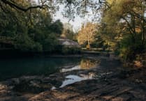 Historic Antony Estate swimming pond set for revival