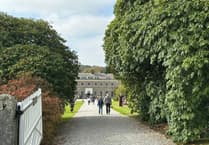 Visitors can discover the secret life of autumn at Boconnoc