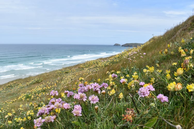 A beautiful mix of colours on the coast at Perran Sands in Cornwall. (Picture: Andrew Townsend)