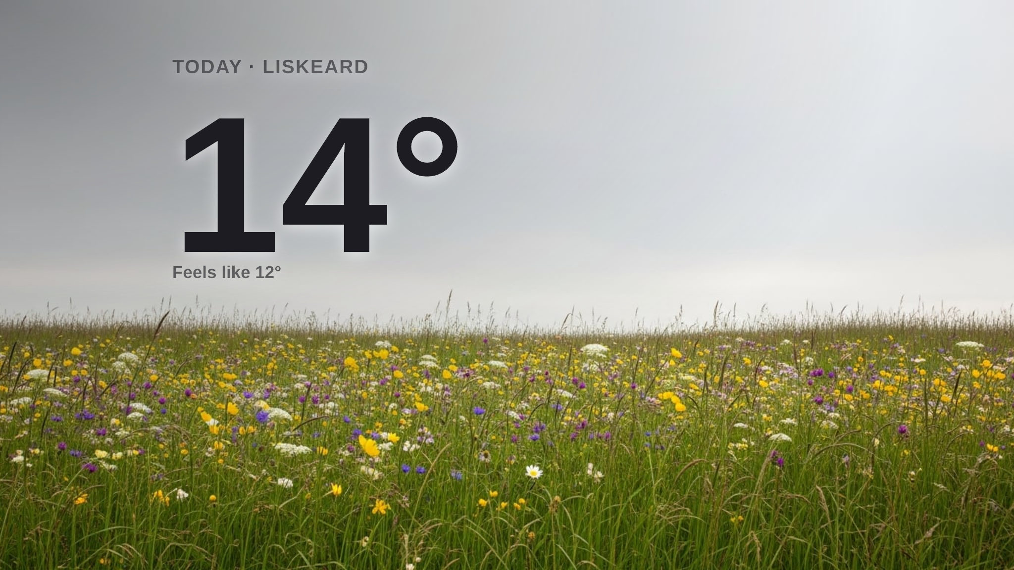 Cloudy Tuesday in Liskeard with rain expected - here's your forecast