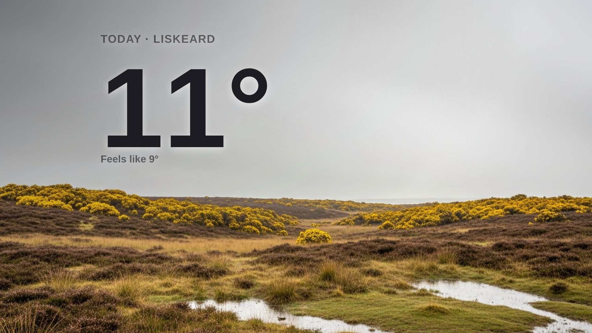 Rain on the way for Liskeard today - here's your Friday forecast