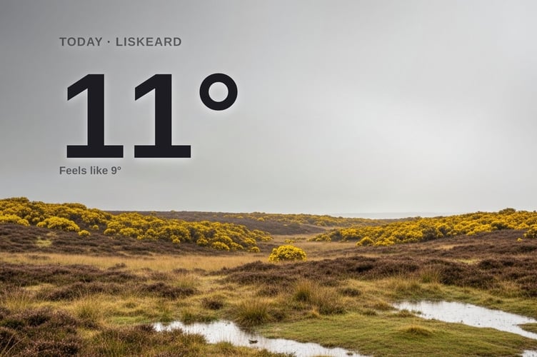 Liskeard weather: cloudy Friday with rain expected and a high of 11°C