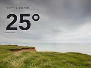 Liskeard: overcast day, high of 25°C
