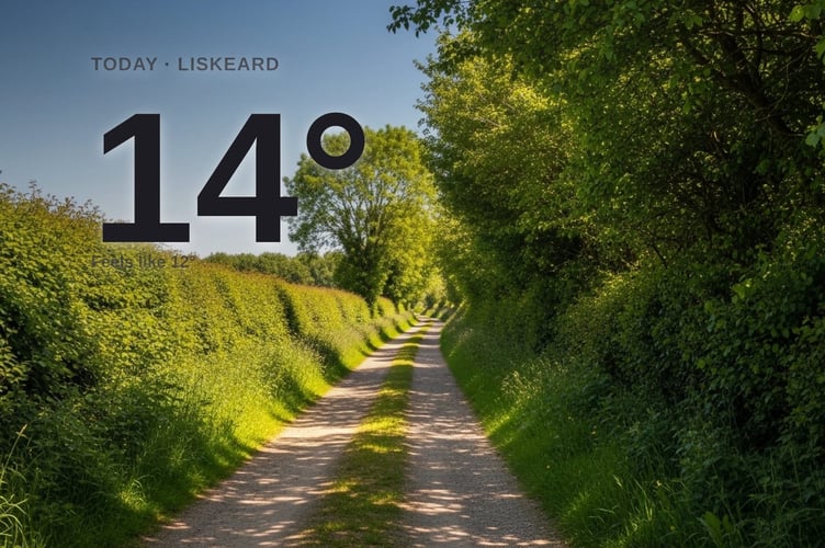 Liskeard weather: sunny Friday with little chance of rain and a high of 15°C